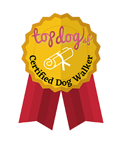 top dog certified dog walker badge